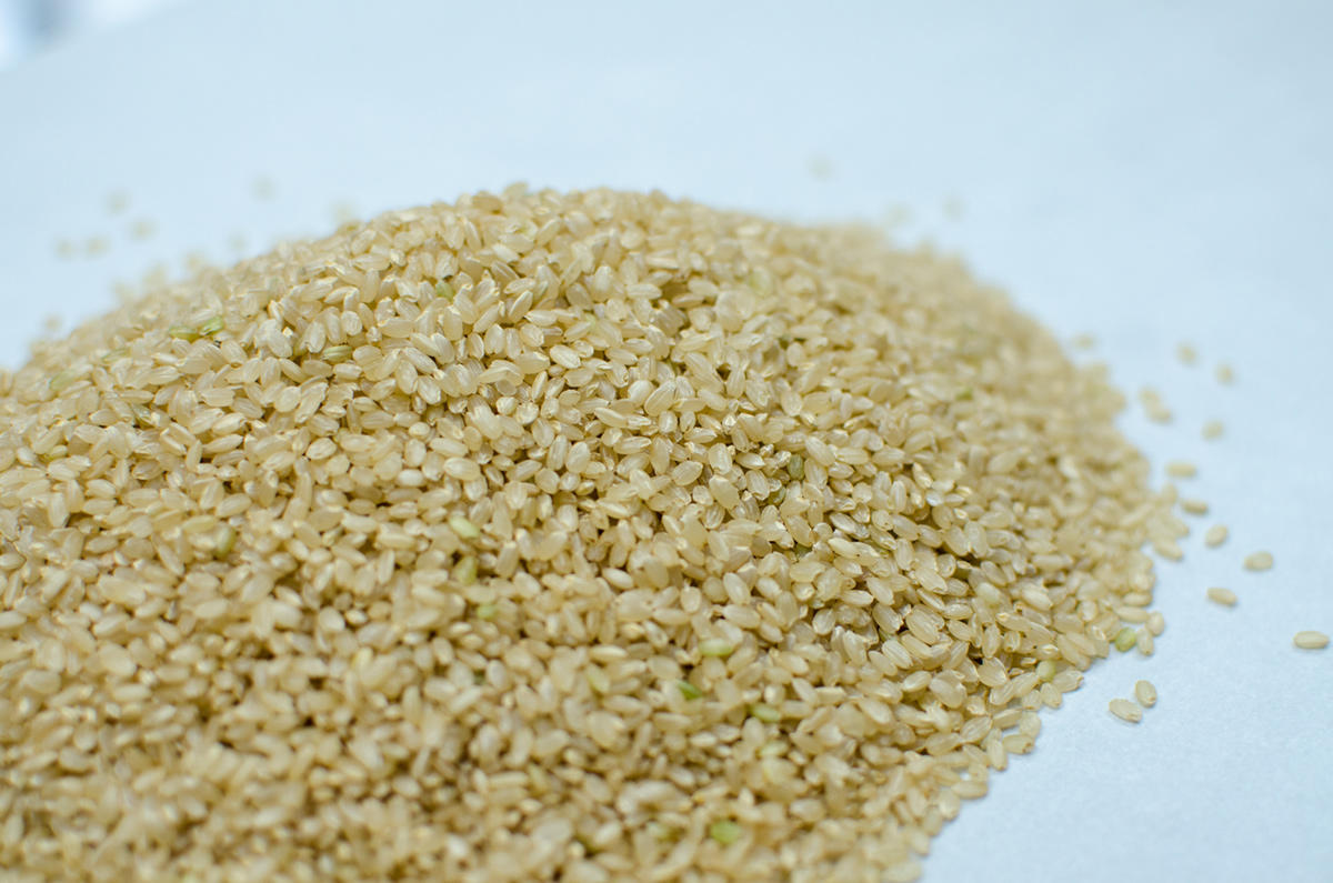 新潟県妙高市産こしひかりの玄米粉を100%使用
